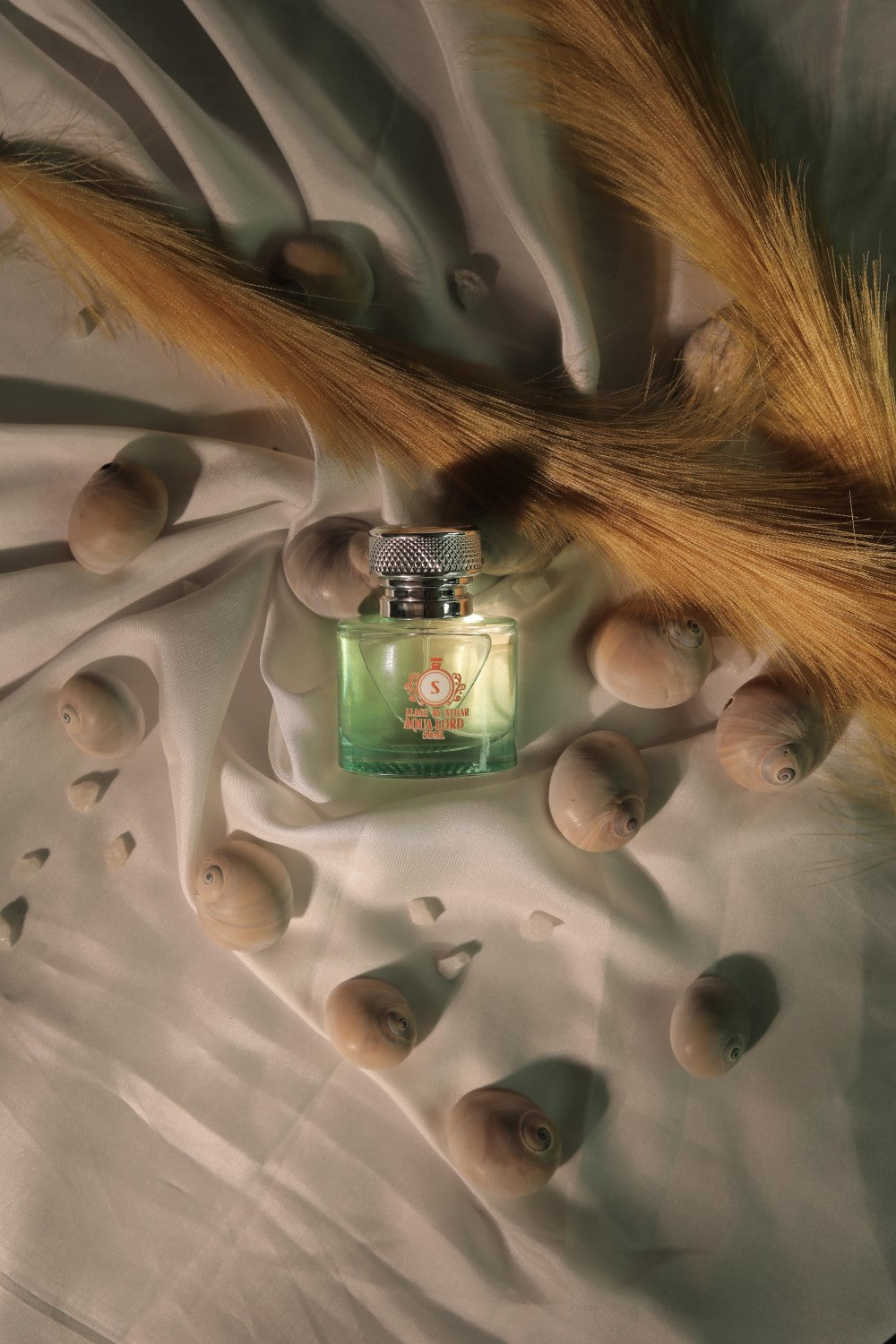 Aqua Lord | Inspired by Aqua di Gio Men